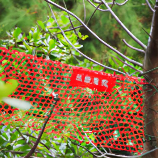 红警网址 红警网址