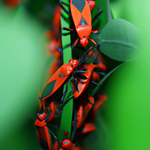 红色警戒类似游戏 红色警戒类似游戏